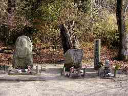 20050128yositsune (5).jpg